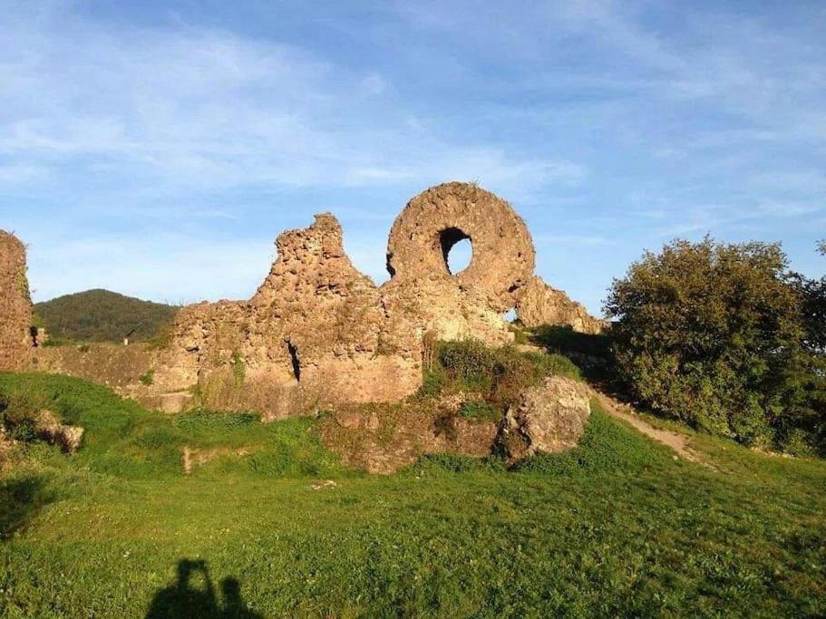 Gite Le Bambou Jama Aspach-le-Haut Dış mekan fotoğraf