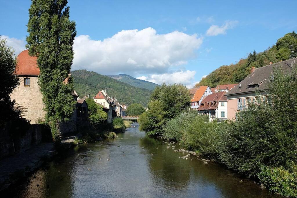 Gite Le Bambou Jama Aspach-le-Haut Dış mekan fotoğraf